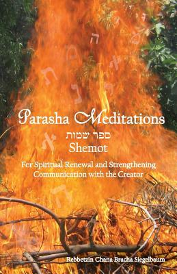 Read Parasha Meditations: Shemot - Internalizing Healing Transformation: For Spiritual Renewal and Strengthening Communication with the Creator - Chana Bracha Siegelbaum file in ePub