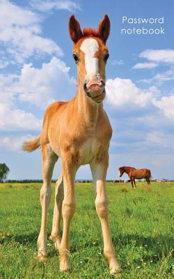 Read Online Password Notebook: Internet Address and Password Logbook / Journal / Diary - Cute Foal Cover -  file in PDF