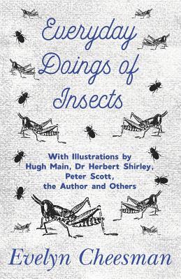 Read Online Everyday Doings of Insects - With Illustrations by Hugh Main, Dr Herbert Shirley, Peter Scott, the Author and Others - Evelyn Cheesman file in ePub