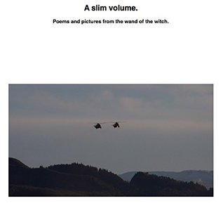 Download A slim volume: Poems and pictures from the wand of the witch. - 2nd Witch file in ePub