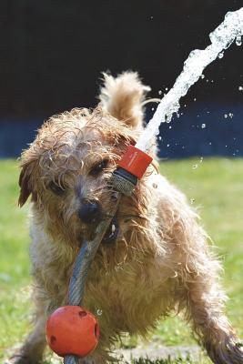 Full Download Dogs Just Want to Have Fun Journal: 150 Page Lined Notebook/Diary -  file in ePub