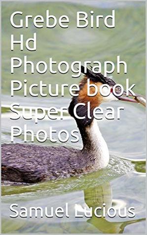 Download Grebe Bird Hd Photograph Picture book Super Clear Photos - Samuel Lucious | PDF