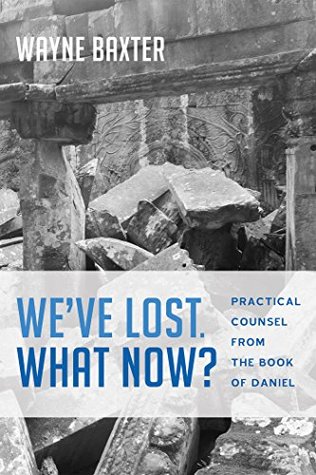 Read Online We’ve Lost. What Now?: Practical Counsel from the Book of Daniel - Wayne Baxter file in PDF