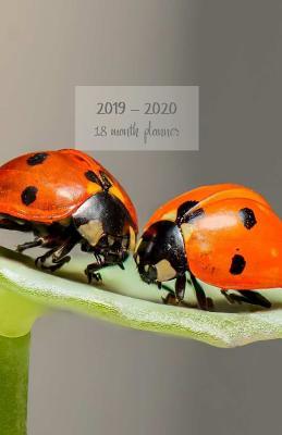 Read 2019-2020 18 month planner: Weekly and monthly planner. Set your Goals and To-Dos. Track your progress with achievements summary. Increase productivity. Monday start week. 8.5'x5.5'. Portable. (Ladybugs cover). -  | ePub